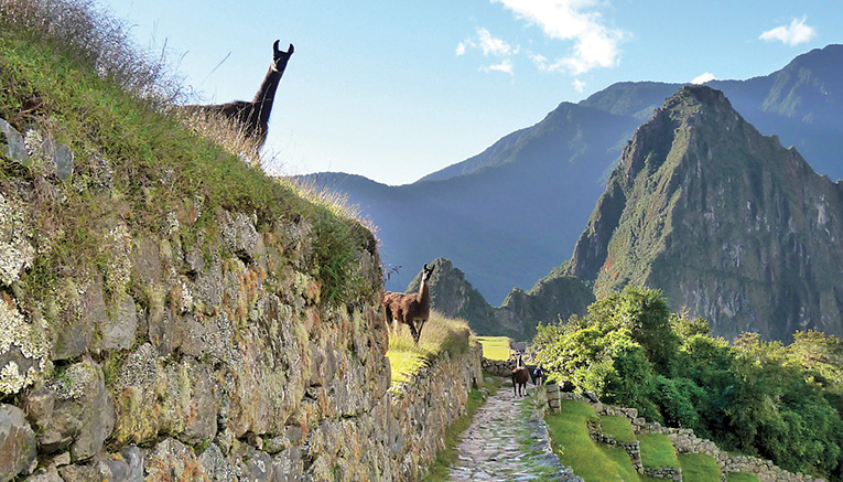Wpei9-peru-walking-7